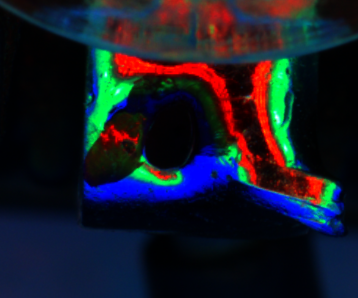 image6.png