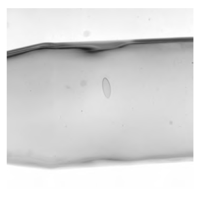 1675995566accc8b.png