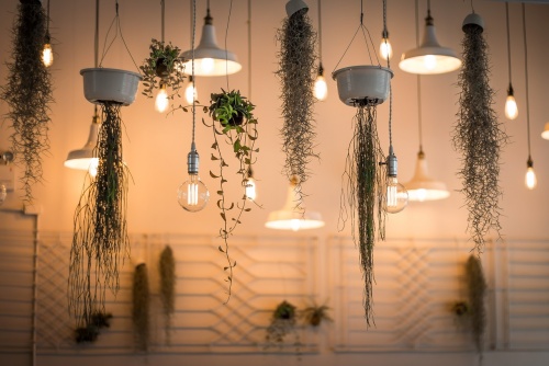 lights-1867437_1280.jpg